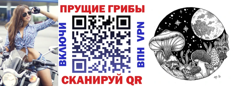 где можно купить   Ленинградская  Псилоцибиновые грибы мухоморы 